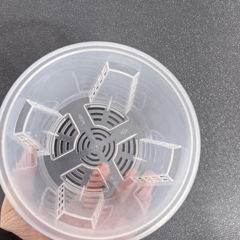 Plastic Root Control Transpare - đánh giá và giá Orchid Phalaenopsis