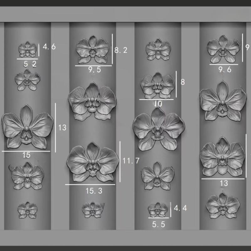 DIY Sweet Butterfly Orchid Flo - đánh giá và giá Orchid Phalaenopsis