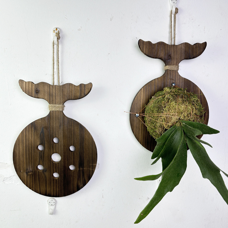 New Wooden Staghorn Fern Wall  - đánh giá và giá Orchid Phalaenopsis