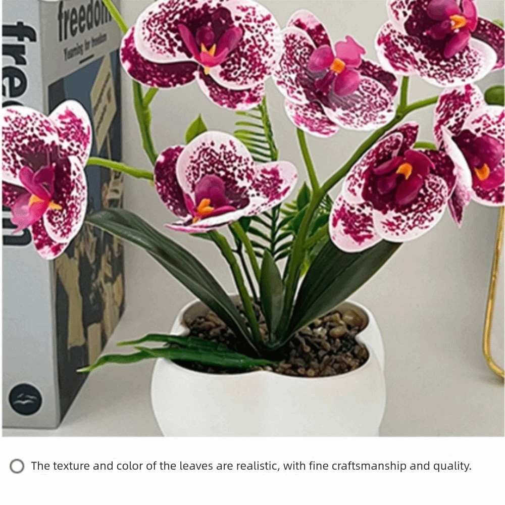 Multi-Bloom Simulated Butterfl - đánh giá và giá Orchid Phalaenopsis