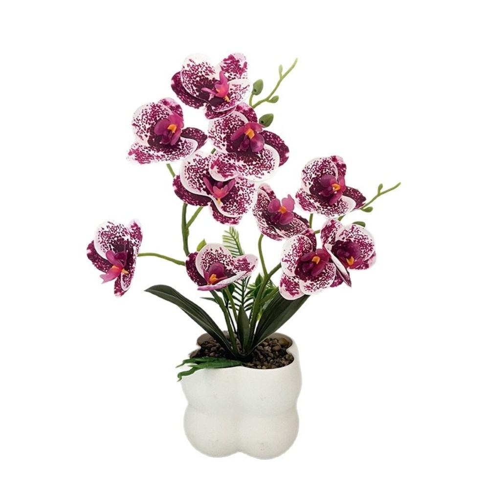 Multi-Bloom Simulated Butterfl - đánh giá và giá Orchid Phalaenopsis