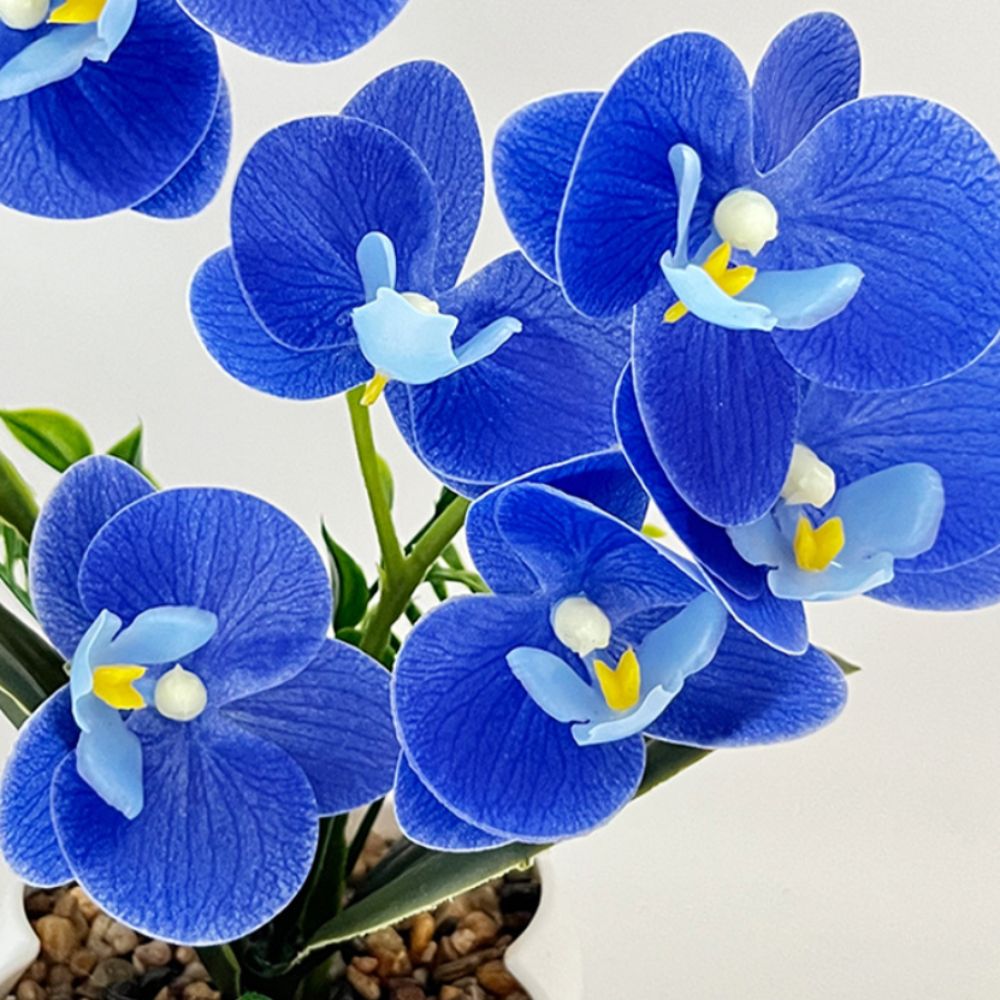 Multi-Bloom Simulated Butterfl - đánh giá và giá Orchid Phalaenopsis
