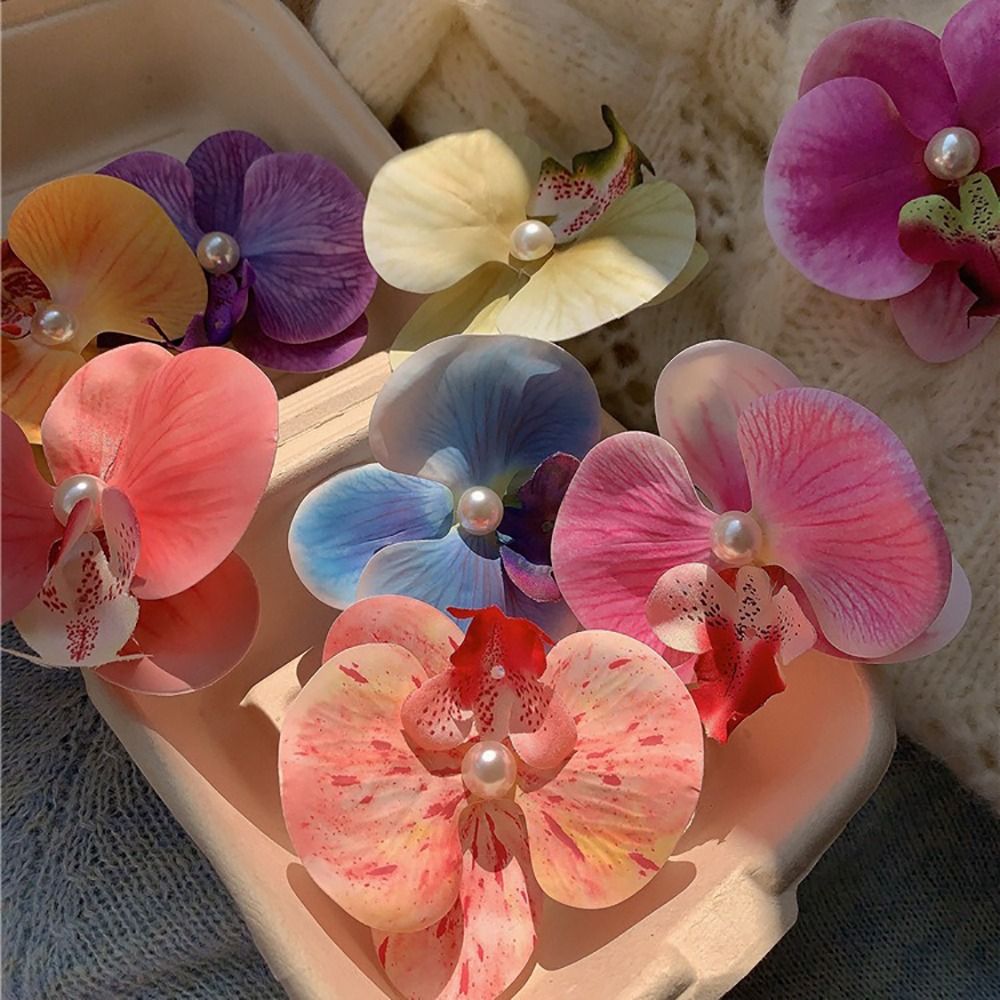 1Pcs Duckbill Clip Orchid Butt - đánh giá và giá Orchid Phalaenopsis